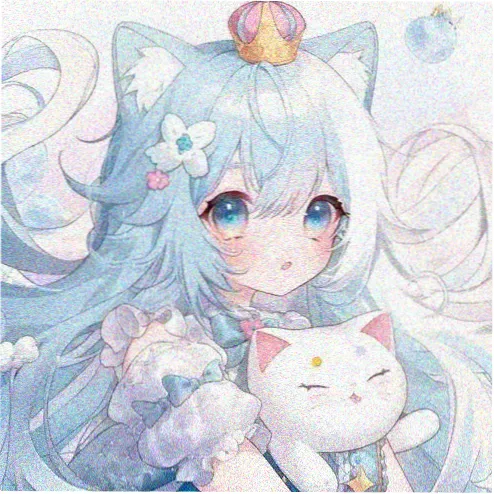 用户 泡菜味的猫 的头像